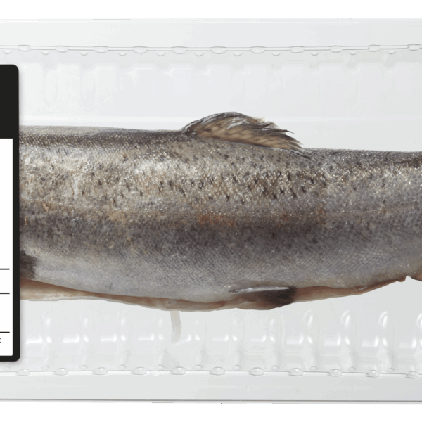 PLUS BBQ Forel - PLUS