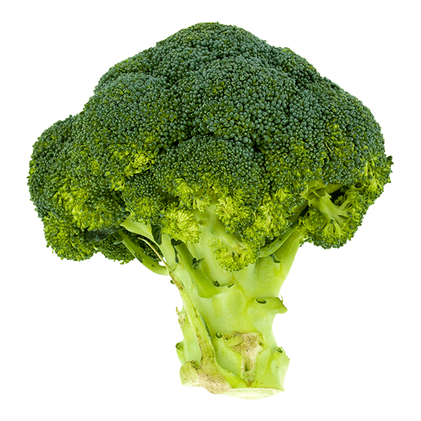 PLUS Broccoli - PLUS