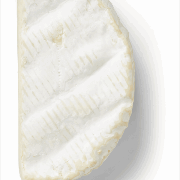 PLUS Camembert - PLUS