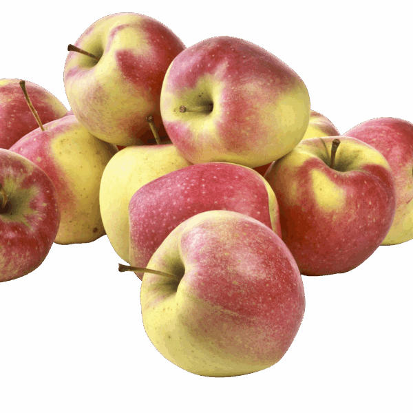 PLUS Handappels Maribelle los - PLUS