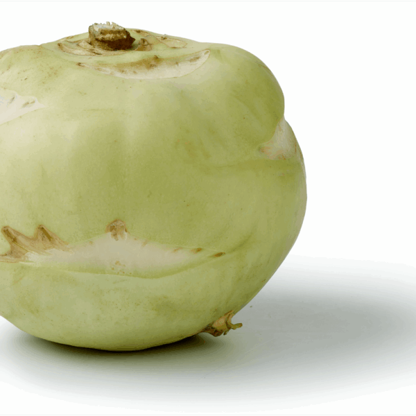 PLUS Koolrabi - PLUS