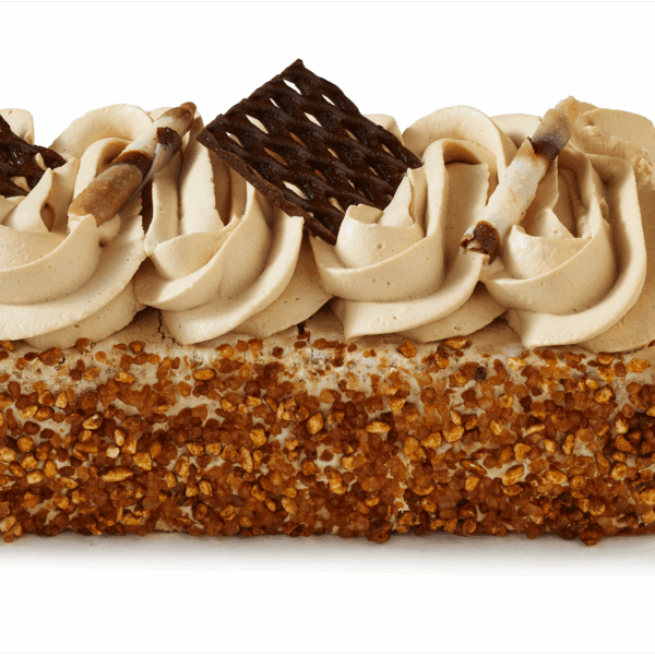 PLUS Mokkaschnitte - PLUS