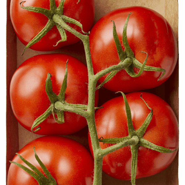 PLUS Trostomaten - PLUS