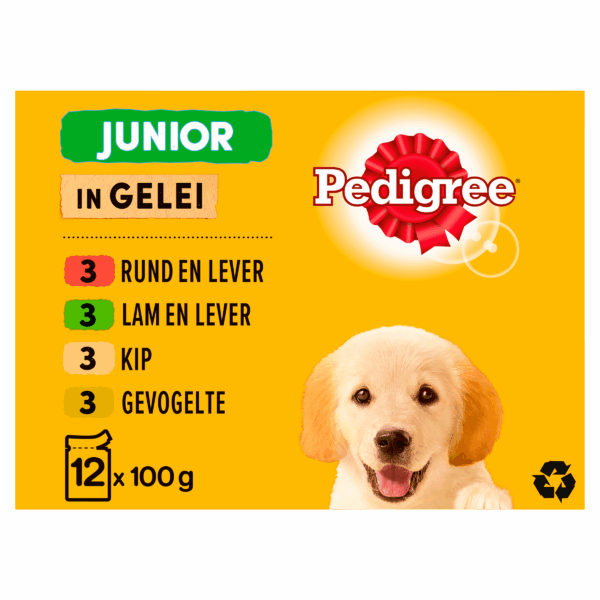 Pedigree Junior Vlees in Gelei Hondenvoer - PLUS