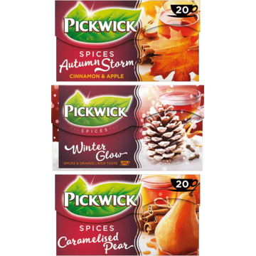 Pickwick Herfst Thee - JUMBO
