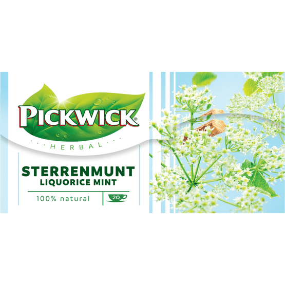 Pickwick Sterrenmunt kruiden thee - Dirk