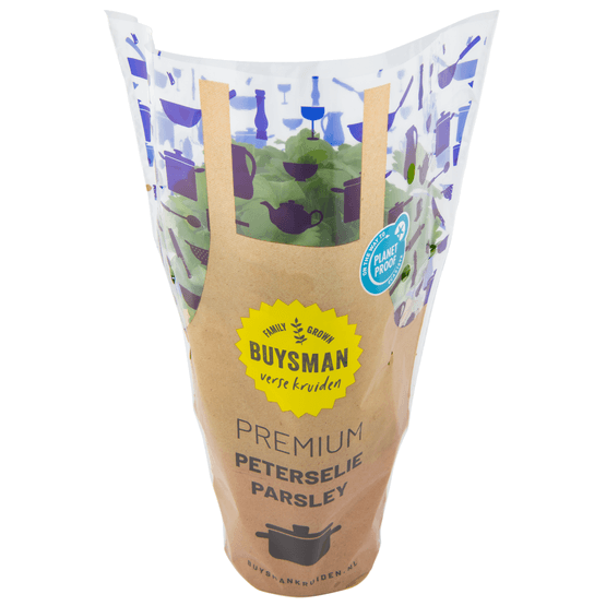 Platte peterselie grote pot - Dirk