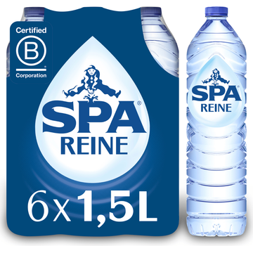 SPA REINE Natuurlijk Mineraalwater 6 x 1