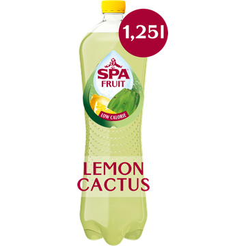 Spa FRUIT Bruisende Fruitige Frisdrank Lemon Cactus - JUMBO